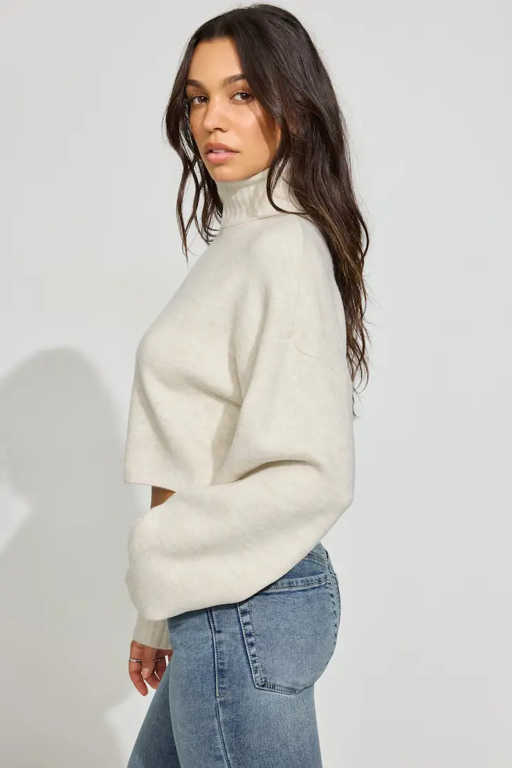 Spongy Cropped Turtleneck